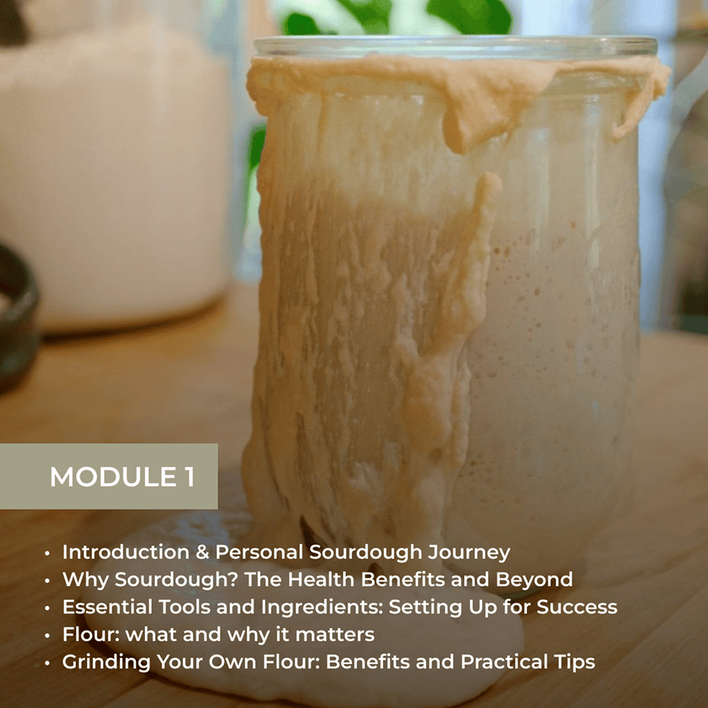 The Art of Sourdough Baking (Digital Course)